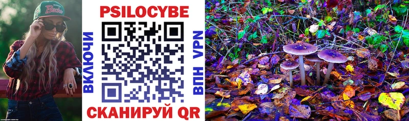 купить наркоту  Губкинский  Псилоцибиновые грибы Magic Shrooms 
